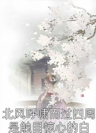 梦回京华：医妻倾城精选小说